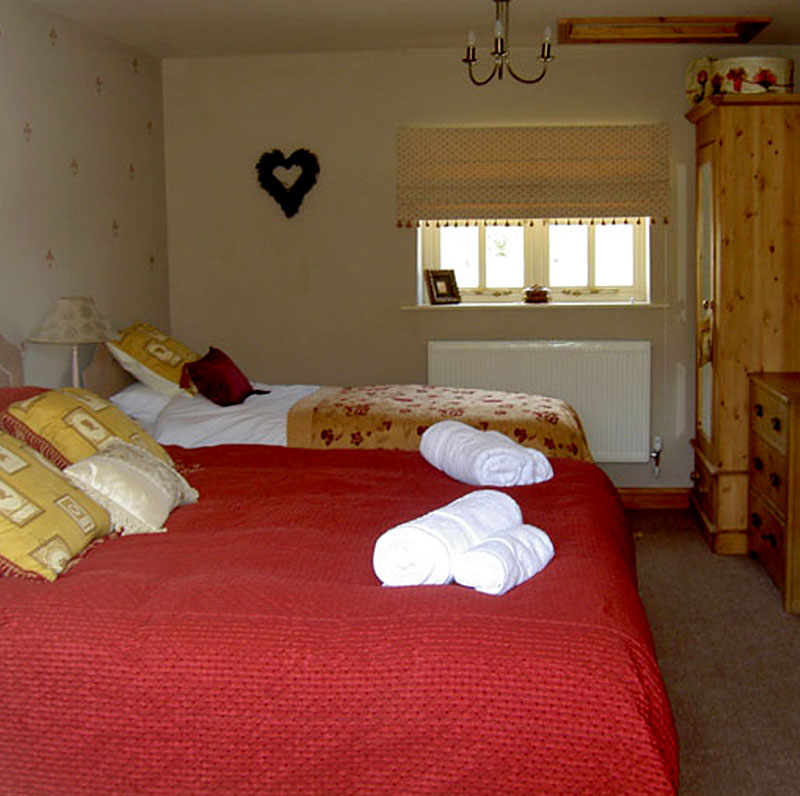 Lettuce Lodge Gallery Broccoli Bottom