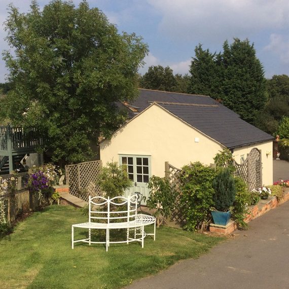 Broccoli Bottom Lettuce Lodge Gallery