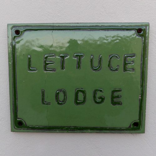 Broccoli Bottom Lettuce Lodge Gallery